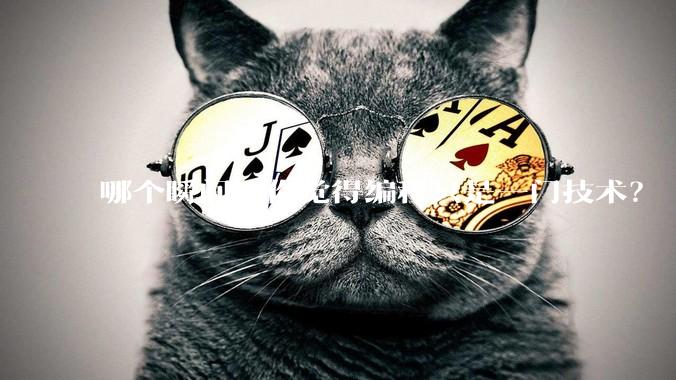 哪个瞬间让你觉得编程只是一门技术？