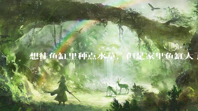想往鱼缸里种点水草，但是家里鱼缸大了买水草泥或者底砂太贵了，有没有生活中可以替代的物品或其他建议？
