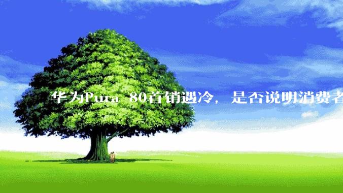 华为Pura 80首销遇冷，是否说明消费者已经开始对麒麟芯片性能有所觉醒？
