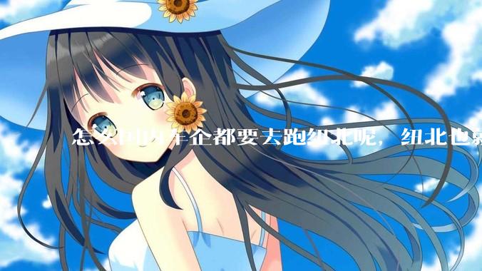 怎么国内车企都要去跑纽北呢，纽北也就是个普通赛道?