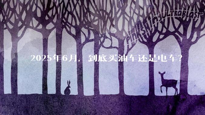 2025年6月，到底买油车还是电车？