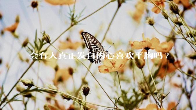 会有人真正发自内心喜欢平胸吗?