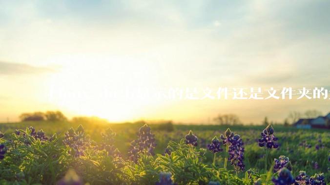 Linux du-h显示的是文件还是文件夹的大小？